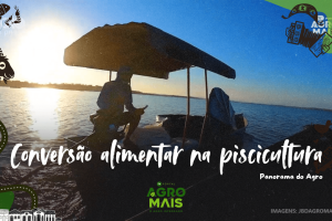 Piscicultor alimentando peixes com ração de alta performance