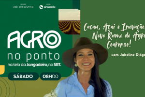 Produtores investindo no açaí e cacau para o futuro do Agro Cearense