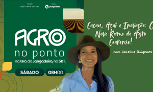 Produtores cearenses mostram a força do açaí, cacau e exportação de banana