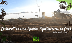 Arasland: o Country Club do Sertão que une cavalo, família e gestão rural.