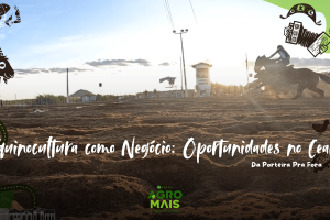 Produtores cearenses investem na equinocultura como negócio com base na ciência e gestão eficiente.