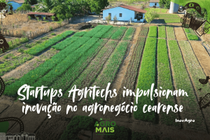 Exposição de startups Agritechs durante o Ceará Tech Summit, mostrando inovações para o agronegócio.