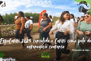 Vista geral da Expo Cariri 2025 com estandes e visitantes em Barbalha, Ceará
