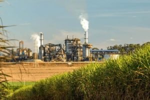 Alta nos preços de energia global pressiona usinas brasileiras a aumentar produção de etanol em detrimento do açúcar.