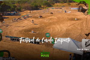 cavalo participando do Festival do Cavalo