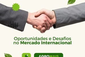 Oportunidades e Desafios no Mercado Internacional