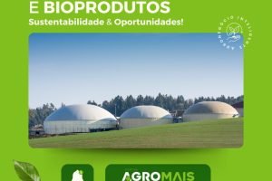 Bioenergia e Bioprodutos: Sustentabilidade e Oportunidades