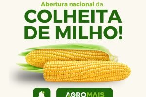Abertura Nacional da Colheita de Milho: Desafios e Perspectivas