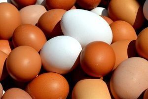 Crescimento da Produção de Ovos no Brasil Ganha Destaque