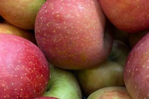 Oscilações no Mercado de Maçã Marcam Produção em 2024