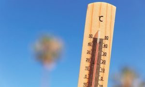 Alerta de Calor: Termômetros Passam de 40°C e Risco de Incêndios Continua Alto