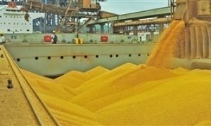 Exportações do Agronegócio Registram Queda de 9,1% em Agosto