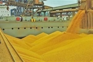 Exportações do Agronegócio Registram Queda de 9,1% em Agosto