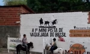  Primeira Mini-Pista de Vaquejada do Brasil