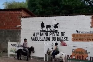 Primeira Mini-Pista de Vaquejada do Brasil