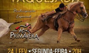 Banner do Leilão Estrelas da Vaquejada, destacando a data, horário e transmissão ao vivo pelo site Star Leilões.