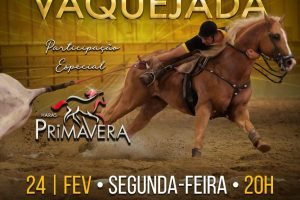 Leilão Estrelas da Vaquejada - 24 de fevereiro