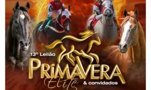 O Leilão Primavera Elite reúne os melhores cavalos de corrida do Brasil no Jockey Club Cearense.