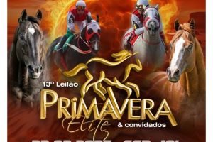 Cavalos de corrida de alto desempenho apresentados no Leilão Primavera Elite, no Jockey Club Cearense.