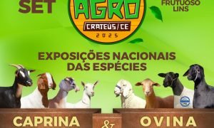 Expoagro Crateús 2025 reúne ovinos, caprinos e bovinos com mais de R$ 170 mil em prêmios.