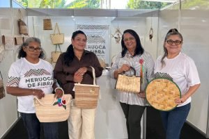 Exposição Estadual da Agricultura Familiar movimenta Meruoca até sábado