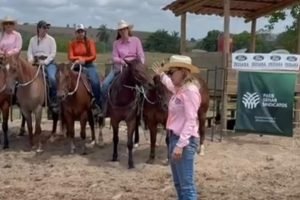 Curso de Ranch Sorting reúne homens e mulheres na Bahia