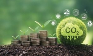 Boas práticas agrícolas ajudam o produtor rural a transformar o carbono em receita extra.