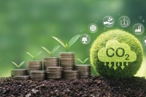 produtor rural analisa solo e plantações em fazenda sustentável com foco na redução de carbono.