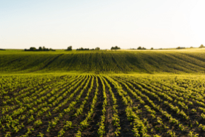 Técnicos em evento discutindo a agenda europeia agrícola.