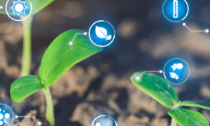 A agricultura moderna do Brasil será destaque na COP 30 em Belém.