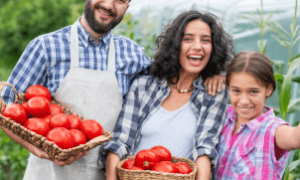 Autoridades anunciam 12 plantas técnicas para fortalecer a agricultura familiar cearense.