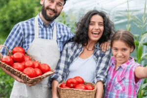 Autoridades da Adagri e SDA lançam plantas técnicas para fortalecer a agricultura familiar