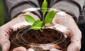 Ibiapaba Agrotech 2025 debate o futuro da agricultura regenerativa