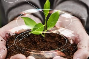 Ibiapaba Agrotech 2025 debate o futuro da agricultura regenerativa