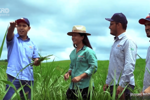 Agro cearense inovando com forragem, figo e ovos coloridos