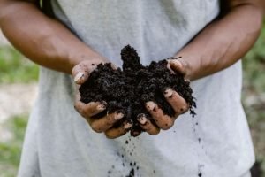 produtor observa lavoura de soja regenerativa com práticas sustentáveis no Brasil
