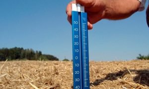 Brasil recebe a COP30 e pode assumir papel de liderança climática global