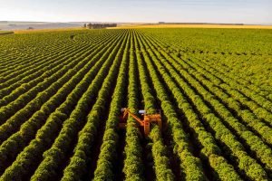 Expoece 2024: Sustentabilidade e Tradição na Maior Feira Agropecuária do Ceará