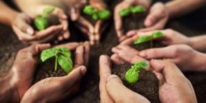 Cooperativas no Agro