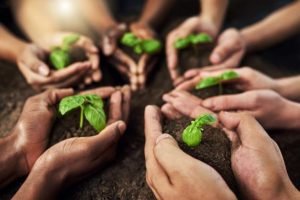 Cooperativas no Agro