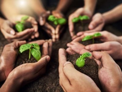 Cooperativas no Agro