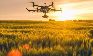 Drone sobrevoando lavoura para monitoramento e pulverização de precisão