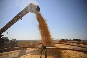 O BAB realiza a primeira entrega física de contratos de derivativos agrícolas em 15 anos, movimentando 1.800 toneladas de milho em Rondonópolis (MT).