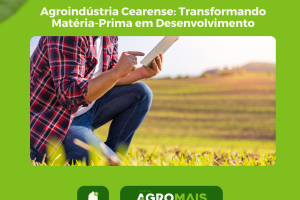 Agroindústria Cearense: Transformando Matéria-Prima em Desenvolvimento Regional