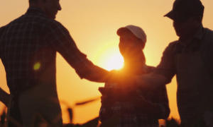 Produtores locais ampliam a produção de frutas nobres como o mirtilo com novos investimentos no agronegócio cearense