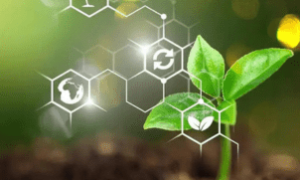 Aplicativo gratuito conecta produtores rurais a soluções biológicas seguras e sustentáveis.