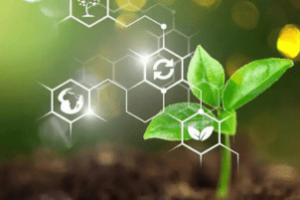 tela do aplicativo Bioinsumos com produtos biológicos cadastrados.