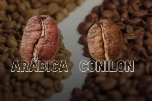  Oferta maior de arábica e possível queda no conilon devem ajustar o spread e a formação de preços.