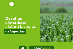 Desafios Climáticos Afetam Qualidade das Lavouras na Argentina