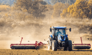 Novos armazéns ampliam a capacidade do agro e geram empregos no interior do país.